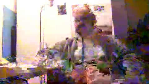 plu07f3520 online show from 03-15-26, 10:38