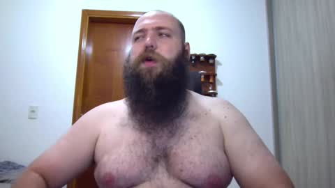 Bear online show from 02-04-25, 02:17