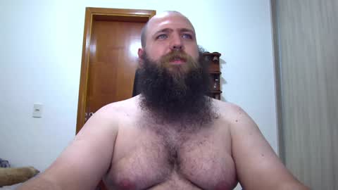 Bear online show from 02-08-25, 02:15