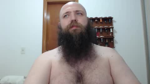 Bear online show from 02-19-25, 02:33