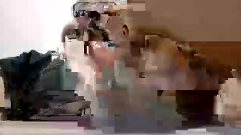 poli online show from 02-27-26, 07:14