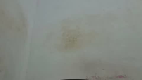 poli online show from 04-04-26, 01:59