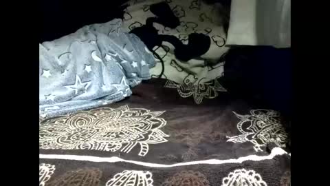 Snapshot of pollachico chatting on 02-18-26, 08:32 pollachico online show from 02-18-26, 08:32