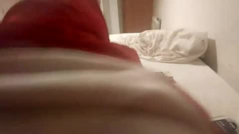 Pollonreus online show from 06-28-26, 04:40