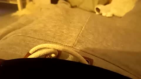 pollontf online show from 03-02-26, 01:41