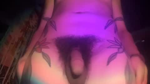 Snapshot of popfun56 chatting on 07-30-26, 11:37 xTemptubusX online show from 07-30-26, 11:37
