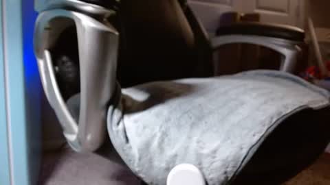 poppyntx online show from 05-24-26, 03:00
