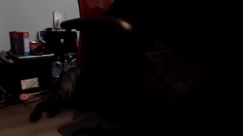 porkdaddy online show from 09-09-25, 05:45