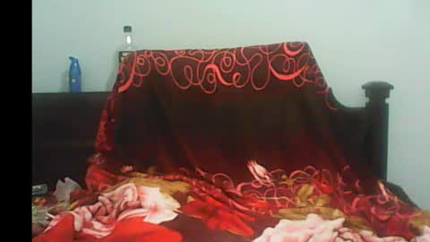 Snapshot of pornojedigoa chatting on 01-04-25, 08:39 Koko Lar online show from 01-04-25, 08:39