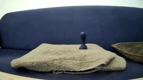 Snapshot of potipott1 chatting on 07-25-26, 11:19 mr vain online show from 07-25-26, 11:19