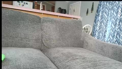 Snapshot of powerstroke345 chatting on 03-07-26, 04:15 powerstroke345 online show from 03-07-26, 04:15