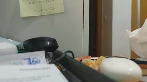 Snapshot of ppillo chatting on 11-17-25, 10:48 ppillo online show from 11-17-25, 10:48