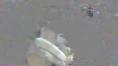 ppsmall_17 online show from 10-17-25, 10:34