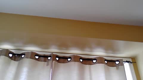 Snapshot of pretty_littletoy chatting on 03-05-26, 02:02 pretty_littletoy online show from 03-05-26, 02:02