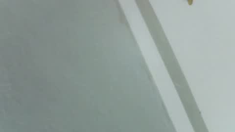 Snapshot of pretty_rose_ chatting on 11-14-25, 08:24 Rose online show from 11-14-25, 08:24