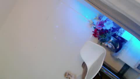 Snapshot of prettybadbitch28 chatting on 06-09-26, 01:23 prettybadbitch28 online show from 06-09-26, 01:23