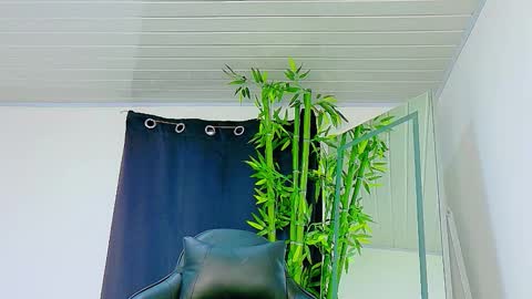 Snapshot of prettybunnies08 chatting on 11-27-25, 09:06 Enzo Denis online show from 11-27-25, 09:06