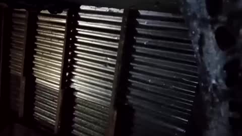 prettyneca5991 online show from 01-16-26, 05:28