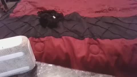 Snapshot of prettyp7729206 chatting on 11-03-25, 09:27 prettyp7729206 online show from 11-03-25, 09:27