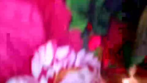 prettyrose01 online show from 04-21-26, 11:29