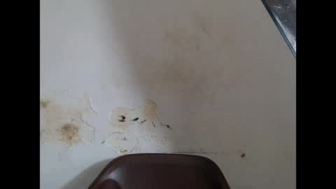 prettysexy6 online show from 04-25-26, 10:07