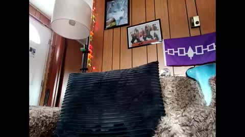 prettysolid7 online show from 01-12-26, 06:46