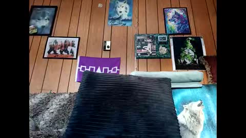 prettysolid7 online show from 02-06-26, 02:09