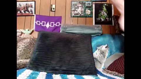 prettysolid7 online show from 03-22-26, 02:20