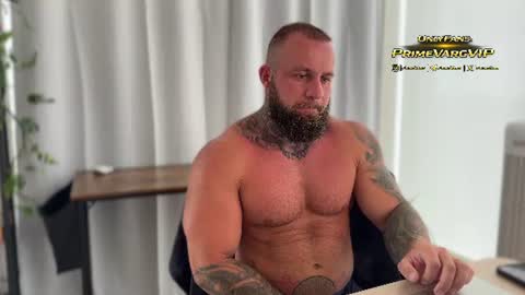 Snapshot of primevarg chatting on 06-29-26, 07:25 VIP OnlyFans 60 OFF PrimeVargVIP online show from 06-29-26, 07:25