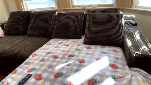 Princess Arii online show from 12-05-25, 07:43