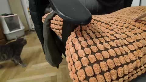 Prince Of Prague online show from 03-02-25, 02:19