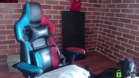 Leia online show from 04-12-26, 08:36