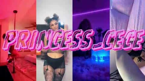 Cece  NEXT LIVESTREAM -- DEC. 4th  7 PM CST online show from 02-27-26, 09:04