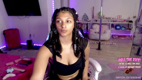 Cece  NEXT LIVESTREAM -- DEC. 4th  7 PM CST online show from 04-03-26, 02:20