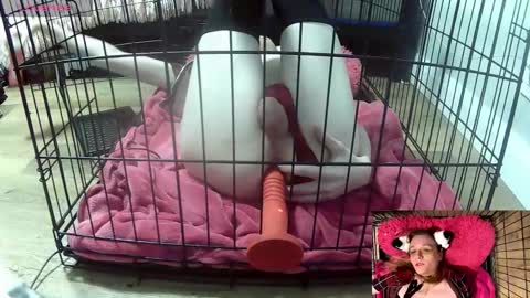 Snapshot of princessjuliaxo4 chatting on 02-03-26, 02:10 PrIncessJulia0X online show from 02-03-26, 02:10