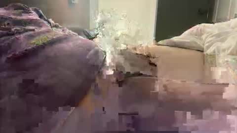 prishpreed23 online show from 03-12-26, 11:38