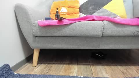 Snapshot of prittiditti chatting on 01-22-25, 02:04 PrittiDitti online show from 01-22-25, 02:04