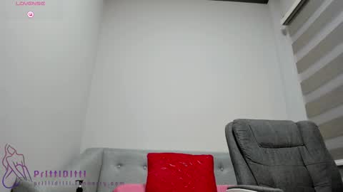 Snapshot of prittiditti chatting on 02-14-25, 10:14 PrittiDitti online show from 02-14-25, 10:14