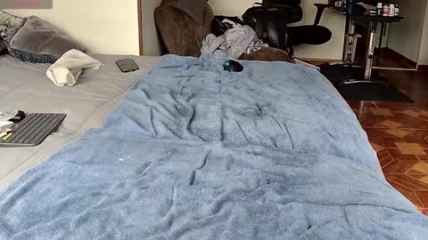 Probardetodo independent model online show from 02-01-26, 01:42