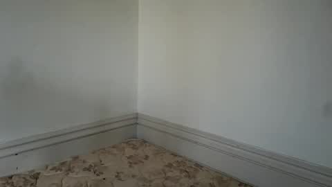 professorhushh online show from 11-25-25, 07:58