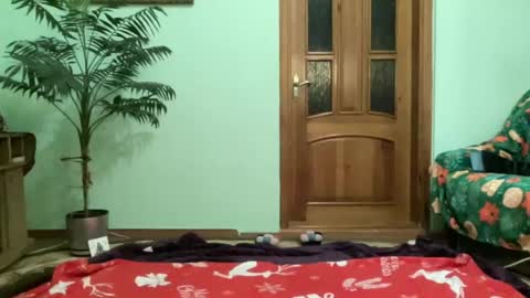 proud sweet 21 online show from 06-12-26, 12:09