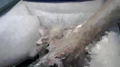 Snapshot of psfunman chatting on 02-13-25, 06:05 psfunman online show from 02-13-25, 06:05