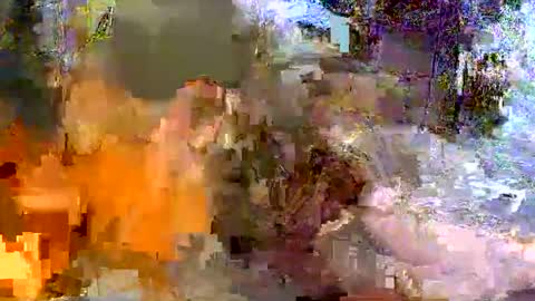 puchainaaaa online show from 06-04-26, 10:43