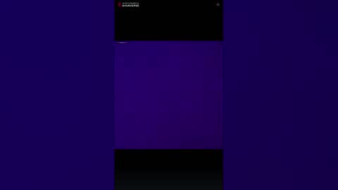 puddled_wonderland online show from 02-06-26, 08:51