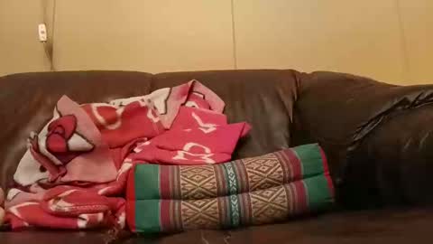 pulepower online show from 11-02-25, 08:17