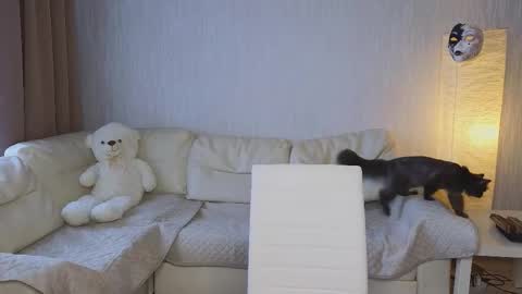 Snapshot of pupsenish chatting on 10-23-25, 05:40 Jesse online show from 10-23-25, 05:40