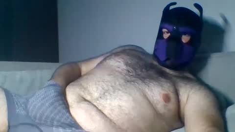 Snapshot of purple_pup_bear chatting on 08-06-26, 09:39 purple_pup_bear online show from 08-06-26, 09:39