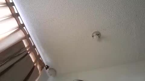 pussy_happy0 online show from 12-03-24, 07:55