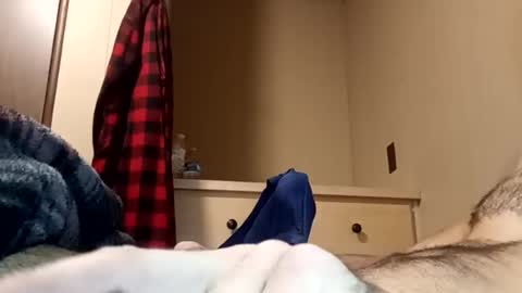 Pussyluver520 online show from 07-19-26, 12:31