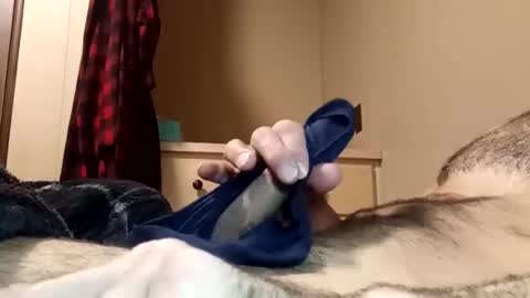 Pussyluver520 online show from 07-28-26, 12:34